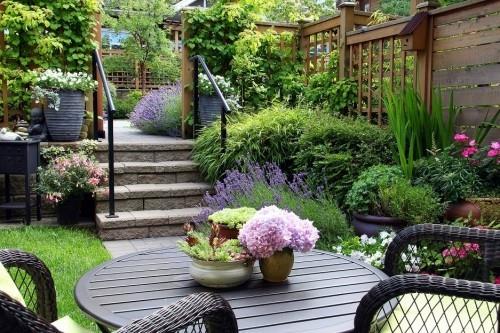 Siniset hydrangeat kosteat sateesta kauniit näkymät