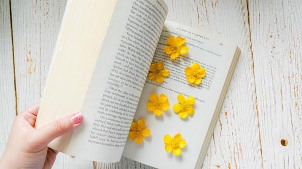 Kukat paina menetelmiä kirja kirjan sivujen välillä