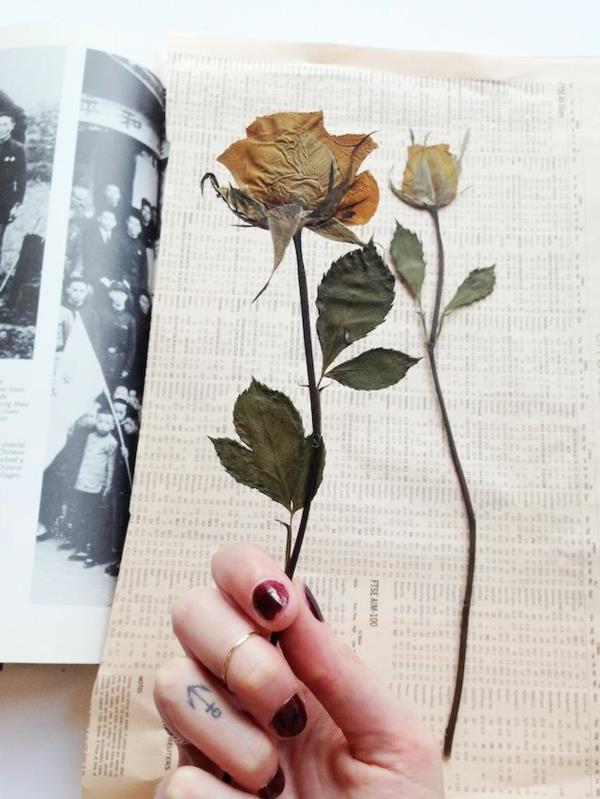 Kukat painavat ruusuja kirjassa