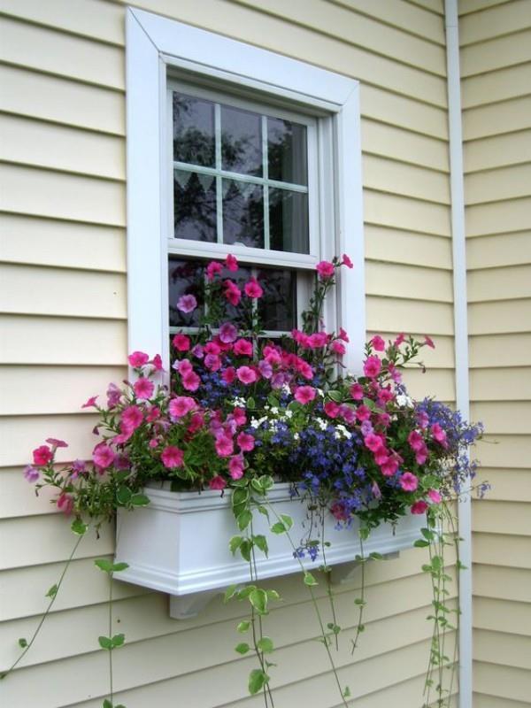 Kukkalaatikko ikkunalaudalla, kauniita kukkia valkoisessa laatikossa