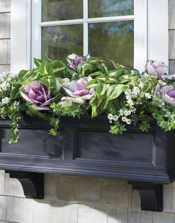 Kukkalaatikko ikkunalaudalla kauniita kukkia rehevästi vihreitä