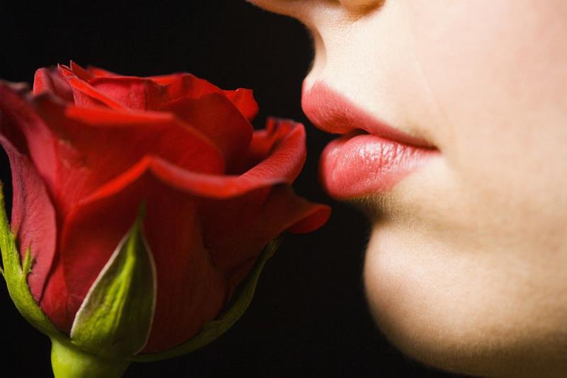 Kukkakieli punaiset ruusut rakkauden symboli sanoo enemmän kuin tuhat sanaa