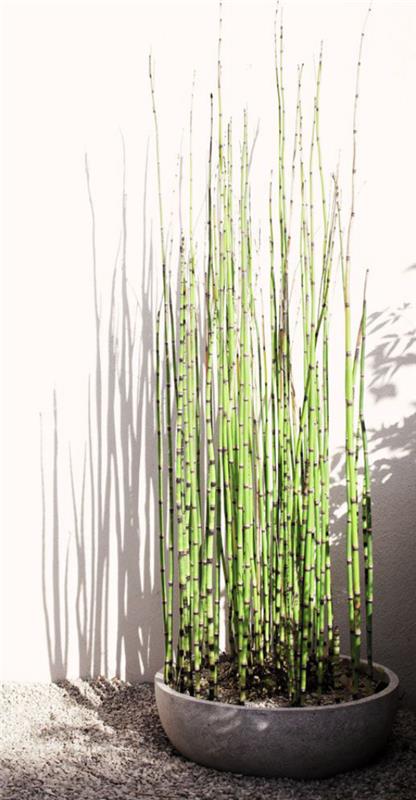 Kukkaruukut ja istutuskoneet pienet kulhon muotoiset kukkasäiliöt bambu
