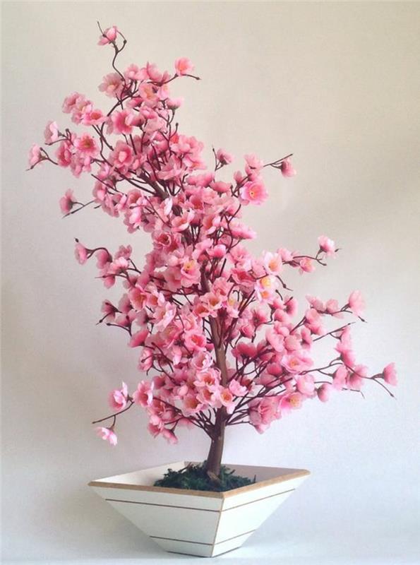 Osta ja hoida bonsai Bonsai Cerejeira Rosa