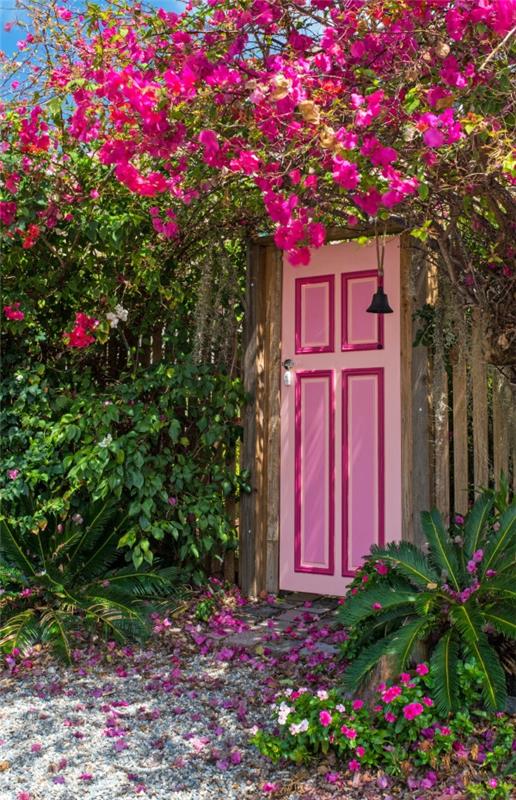 Bougainvillea -hoitovinkkejä ja mielenkiintoisia faktoja kolminkertaisen kukan vaaleanpunaisesta koristekasvien ovesta