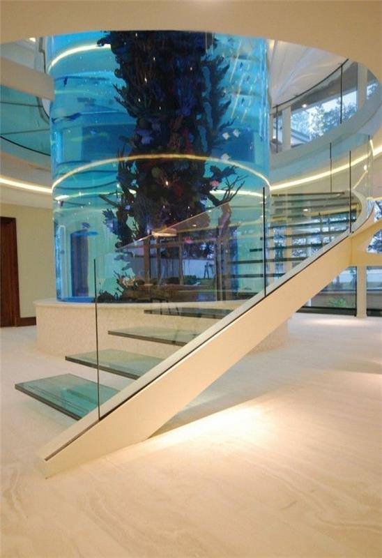 Loistavat lasiset akvaarion koristeluportaat