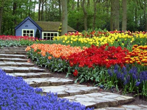 Värikäs puutarhasuunnittelu Gartendeko -portaikkoinen polku