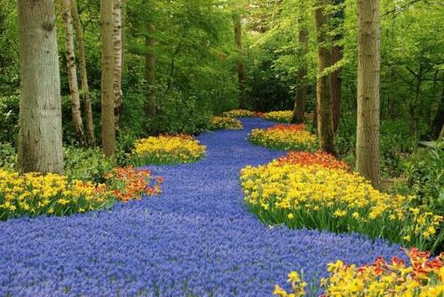 Värikäs puutarhasuunnittelu ja puutarhan sisustus Alankomaiden loistosatu