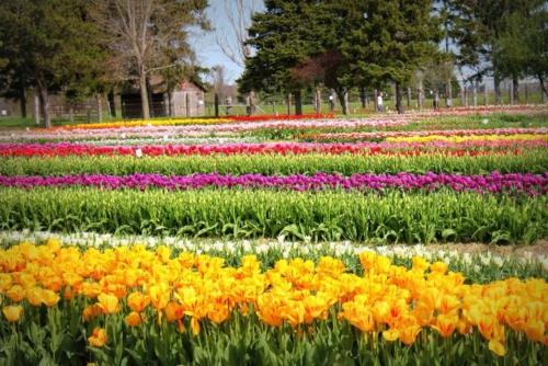 Värikäs puutarhasuunnittelu Gartendeko park kevät Alankomaat