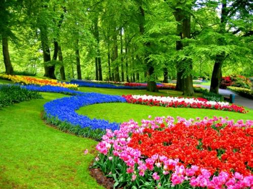 Värikäs puutarhan suunnittelu puutarhan sisustus punaiset tulppaanit kukkapenkki
