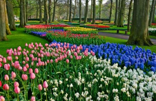 Värikäs puutarhasuunnittelu ja puutarhakoristeet tulppaanit kevään kukkapenkki