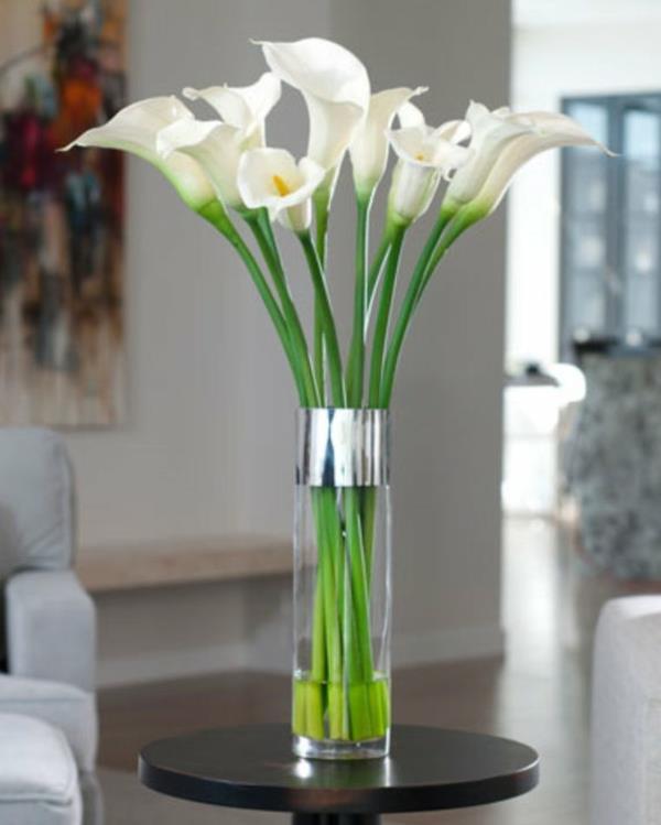 Calla kukkakimppu huone calla