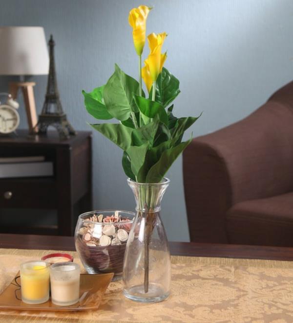 Calla Flower Indoor Calla Calla Plant Maljakko