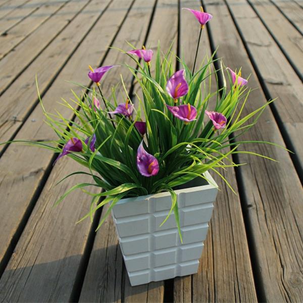 Calla ruukussa hoito calla kukka sisätiloissa calla
