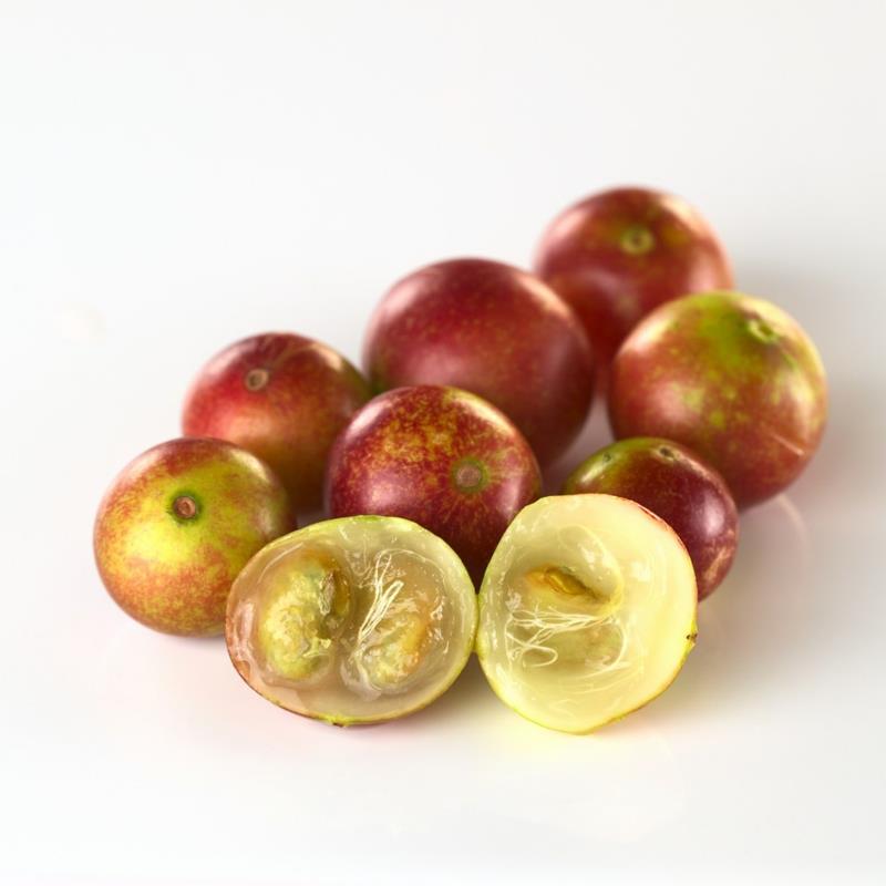 Camu Camu Myrciaria dubia superhedelmä terveellinen ravitsemus