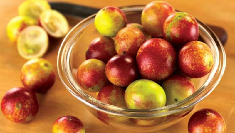 Camu Camu Myrciaria dubia Super Fruit Syö hedelmiä ja vihanneksia