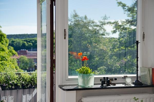 Viehättävä yhden huoneen huoneisto Ruotsissa-ikkuna-kukkaruukku