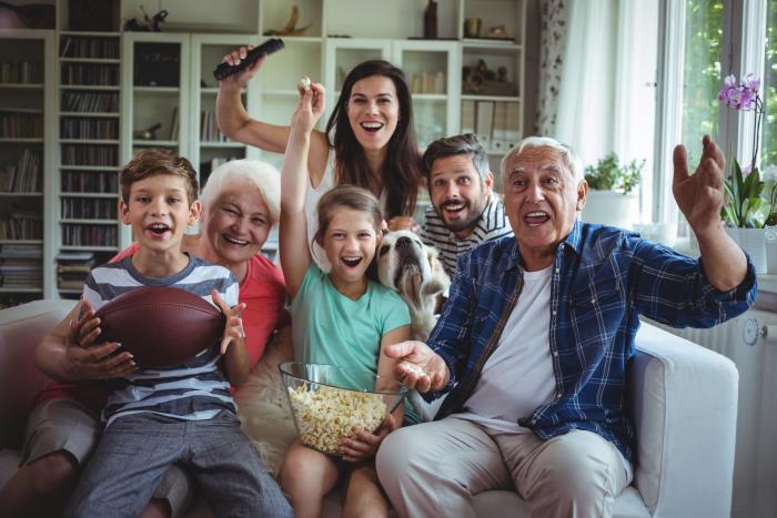 Koronakriisi kotona Mitä lapset, vanhemmat, isovanhemmat, koirat saavat upeita kokemuksia yhdessä television edessä