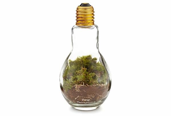 DIY-koristelu-lampusta-kasvit-lajit
