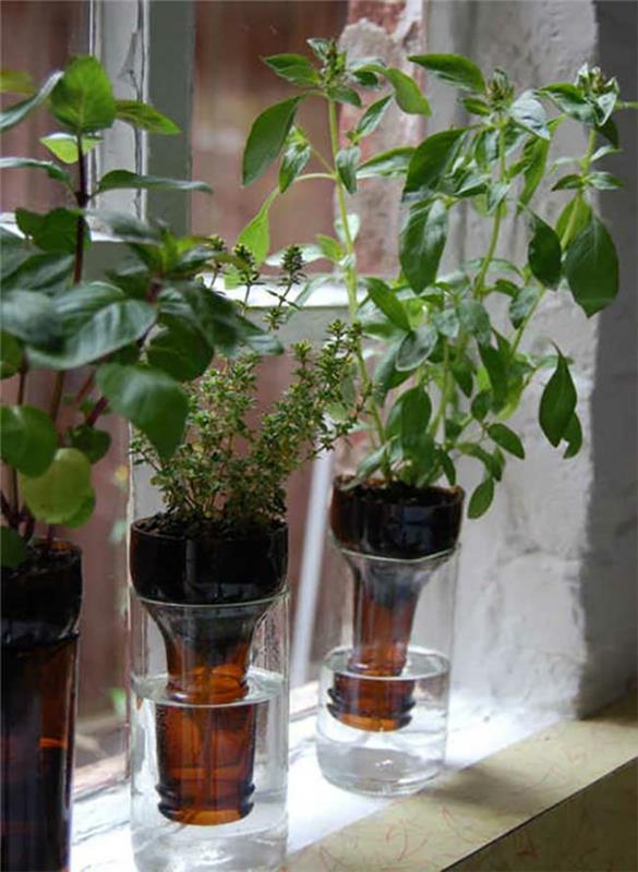 DIY -ideoita lasipulloilla käsityöideoita nuorille kasveille