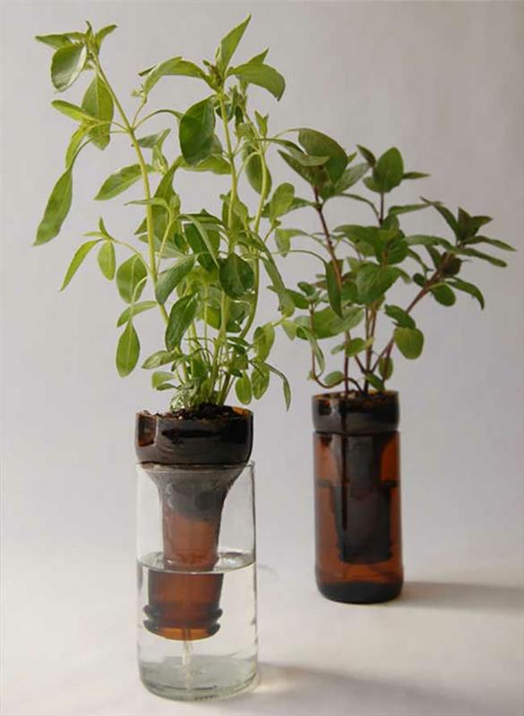 DIY -ideoita lasipulloilla käsityöideoita kasvien ruukku nuorille kasveille