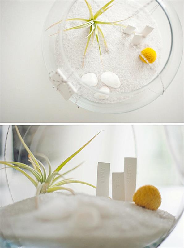 DIY -ilma -kasvien terraarioidea -lahja