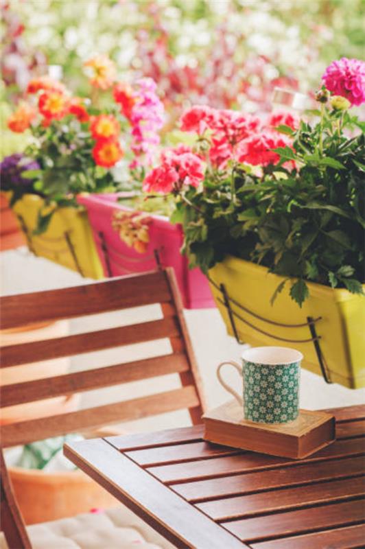 Daaliat parveke hoito värikkäitä kukkia kahvimuki miellyttävä ilmapiiri nauttia virvoitusjuomasta