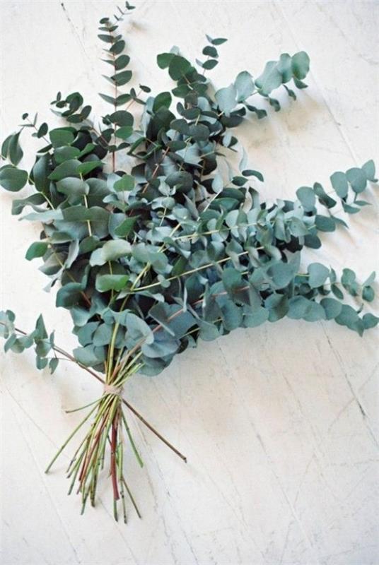 Käytä eukalyptuslehtiä oikein koristetoimintona