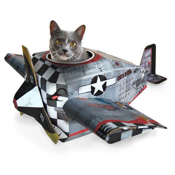 Suunnittelijan huonekalut ja tarvikkeet lemmikkieläinten kissan lentokoneelle