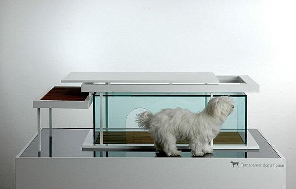 Suunnittelijan huonekalut ja tarvikkeet lemmikkieläinten hyllyille koira
