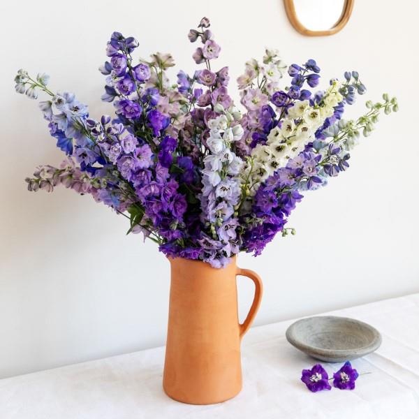 Tämän kesän 2021 parhaat kukat antavat sen kasvaa violetiksi