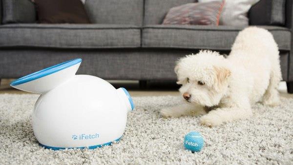 Parhaat älykkään kodin gadgetit lemmikeille ifetch heittää palloja koirallesi