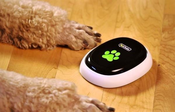 Parhaat älykkäät kodin gadgetit lemmikeille petchatz petcall -laite älykkäille koirille