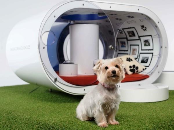 Parhaat älykkään kodin gadgetit lemmikeille samsung smart dog house