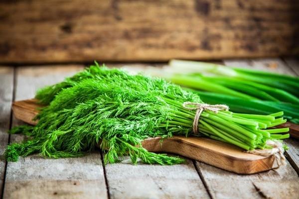 Käytä tillin tuoretta vihreiden lehtien vartta keittiön mausteena