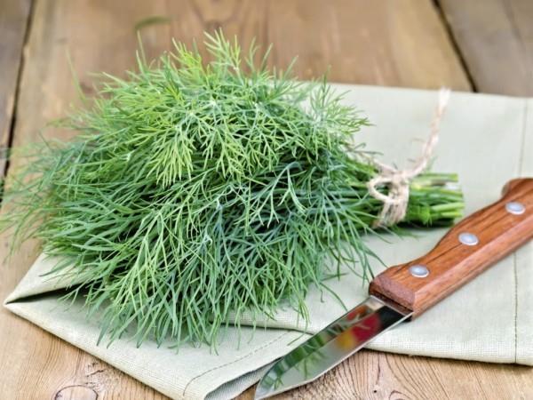Käytä tillin tuoreita vihreitä lehtiä, kun valmistat keittiössä