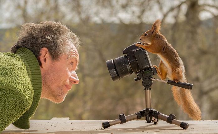 Geert Weggen kuvasi oravia kameran toisella puolella