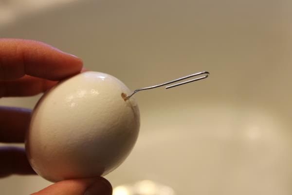 Puhalla munat Lävistä munankuori Vaiheittaiset ohjeet