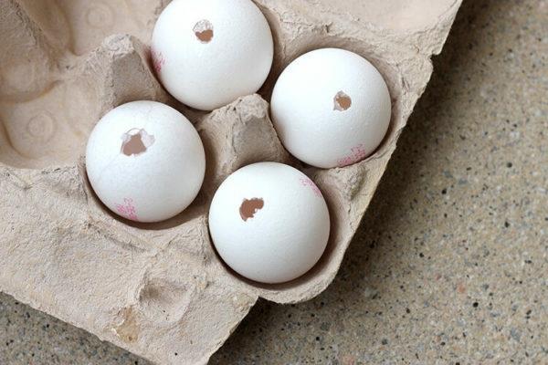Puhalla munat pese pois lävistä puhallusohjeet