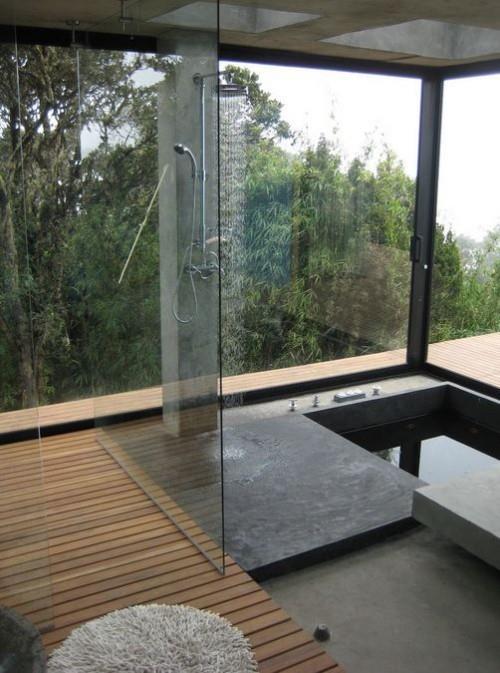 Upotettu kylpyamme ja suihku yhdistetty puulasiseinä panoraamanäkymä