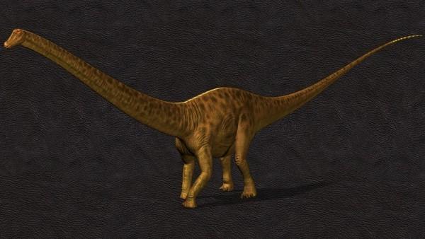 Ainutlaatuinen Diplodocus -luuranko, jossa on ihoa, huutokaupataan dinon oletetun ulkonäön vuoksi