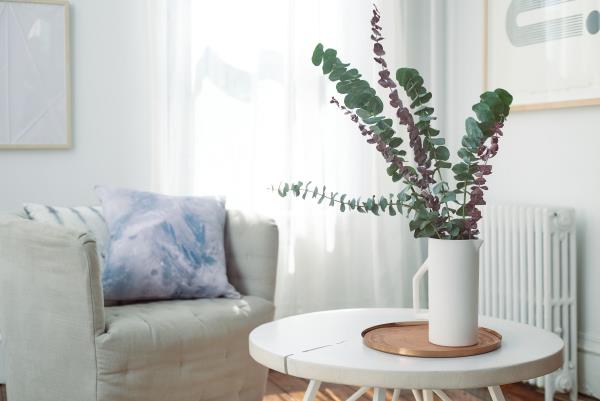 Eukalyptushoidon vinkkejä harrastuspuutarhureille - yleiskatsaus puristisista koristekasveista koristekasveista leikattujen kasvien olohuoneesta