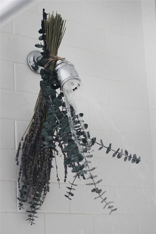 aromaterapia suihku eukalyptus vaikutus
