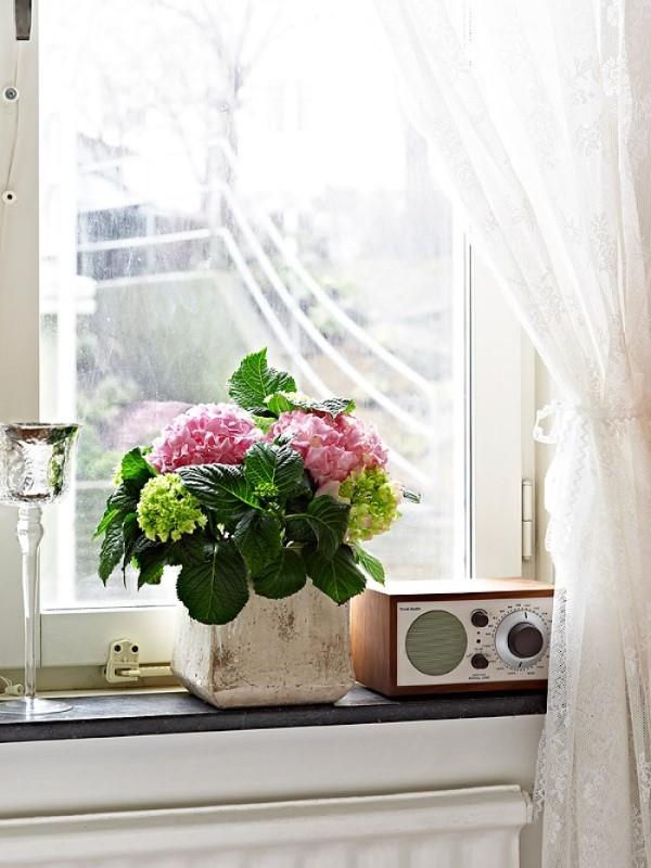 Ikkunalaudan koristelu kesäksi - tuoreita ideoita mihin tahansa sisustukseen retroideoita kukat hydrangeas