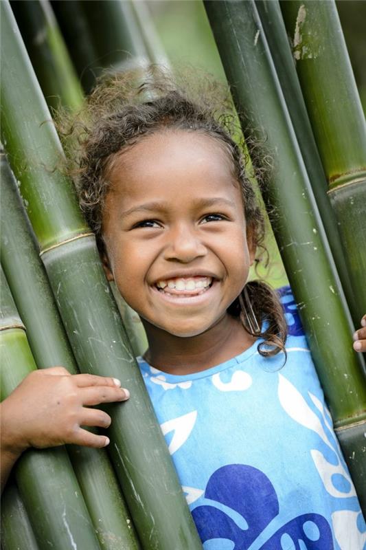 Fidžin saaret loma väestö fidži saaret lapsi