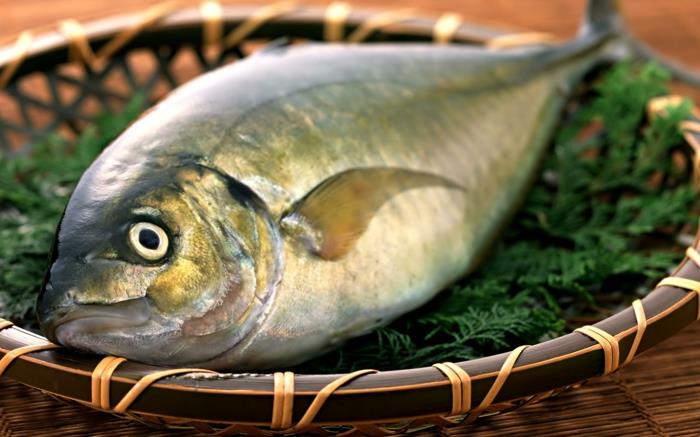 Kalan valmistaminen tuoreen lihan kalareseptit kala ja saalis
