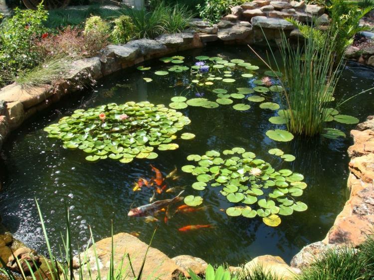 Fish Pond Garden Pond kuvia puutarhaideoita vesikasveja lampi