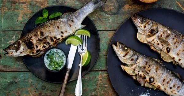Taimenen grilli kalkkikastike terveellinen syöminen kylmää vettä kalaa