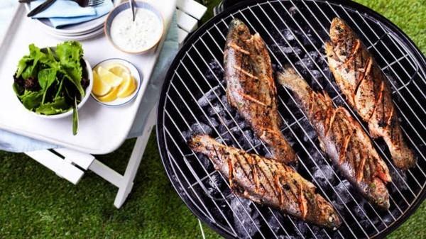 Taimenen grilliresepti Terveellinen syöminen Kala syö terveellisesti