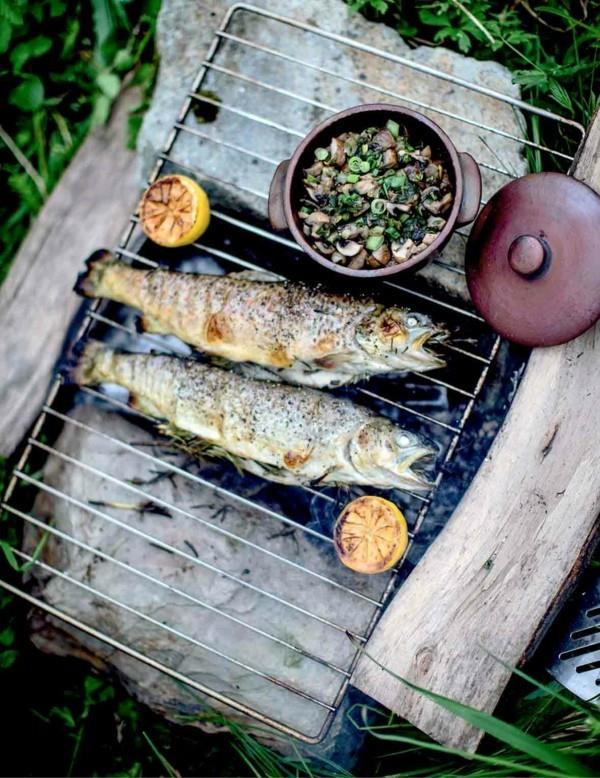 Taimengrilli sienillä terveellinen ruoka taimen ravinteita